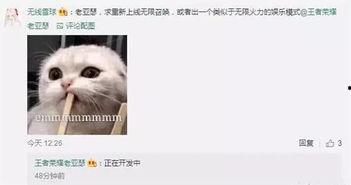 策划巴哥最新爆料,揭秘策划界的神秘力量  第3张