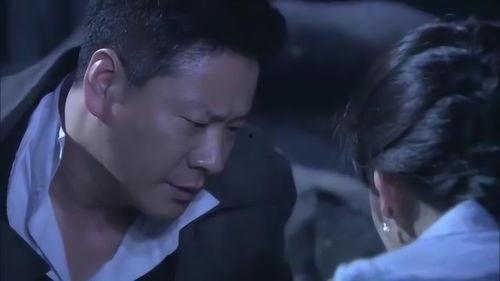 电视剧双雄在线观看,在线揭秘兄弟情深与江湖恩怨